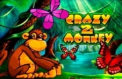 Crazy Monkey 2
